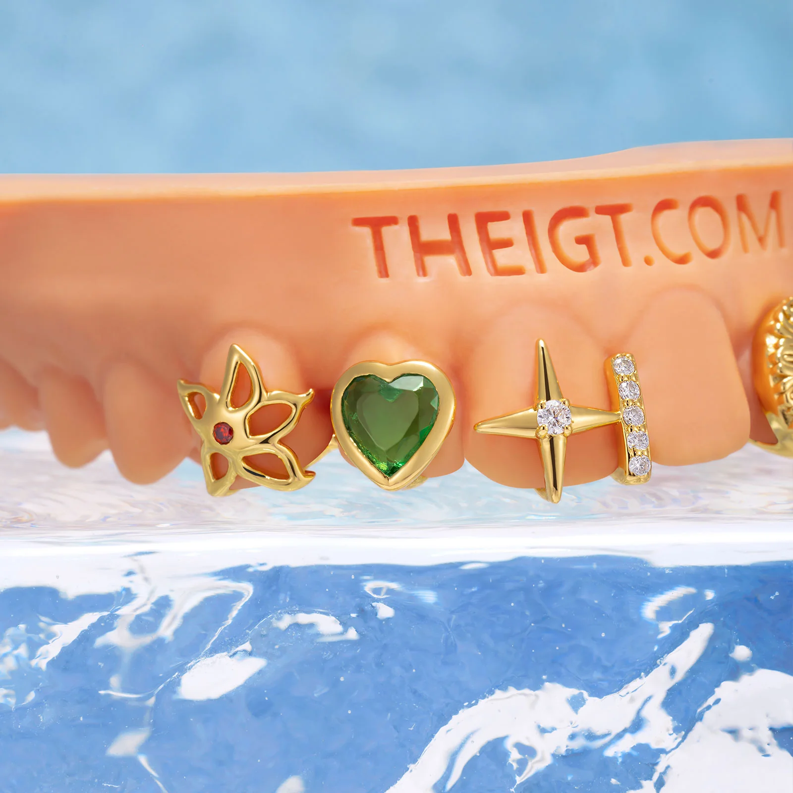 Custom Ruby & Leopard Grillz - Image 5
