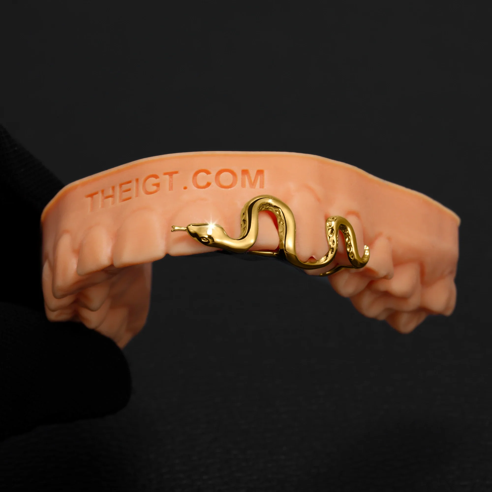 Custom Snake Grillz - Image 3