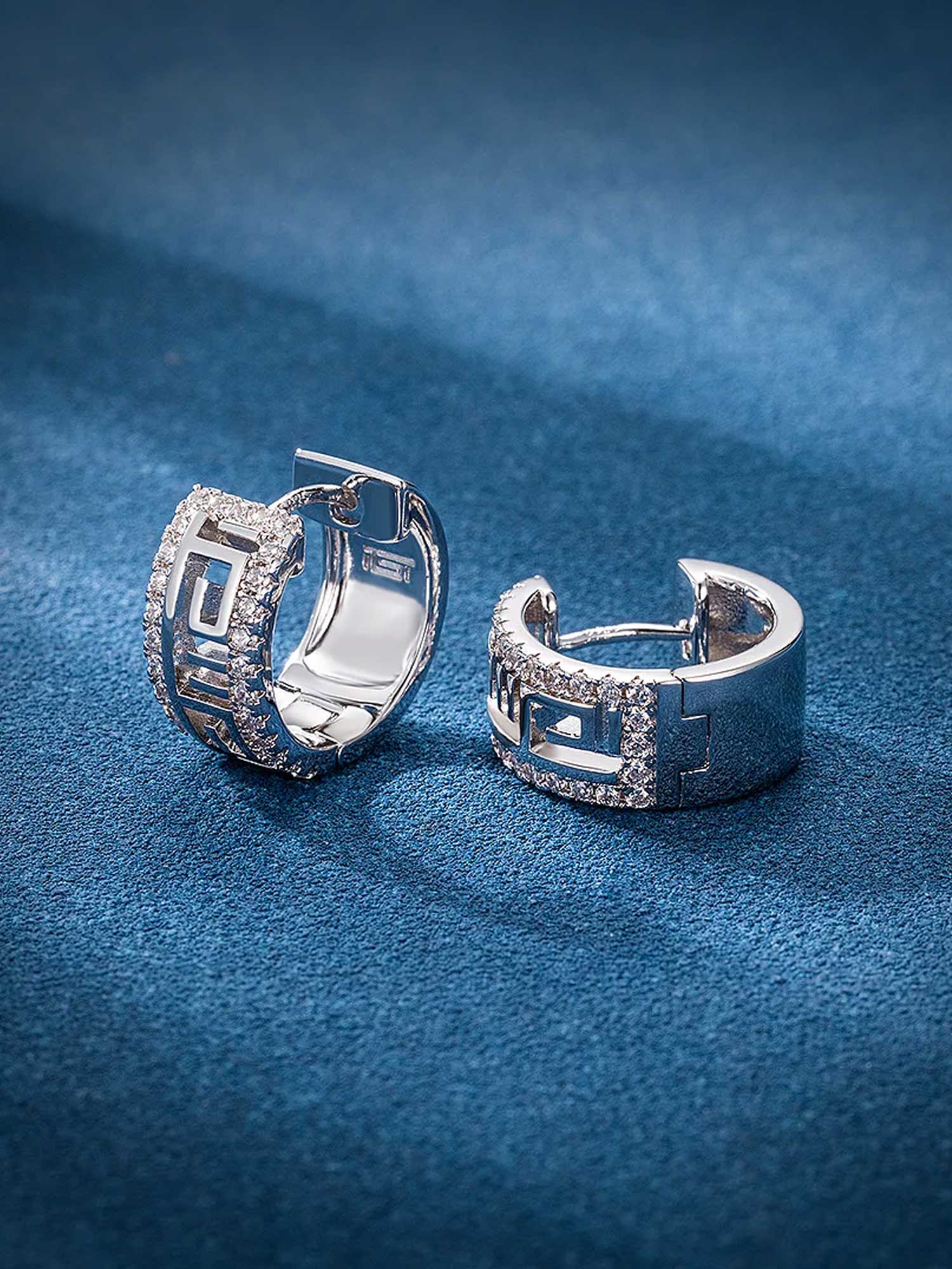 Moissanite Hollow Hoop Earrings - Image 4