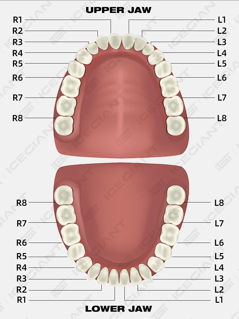 Opal Style Single Tooth Grillz - Image 4