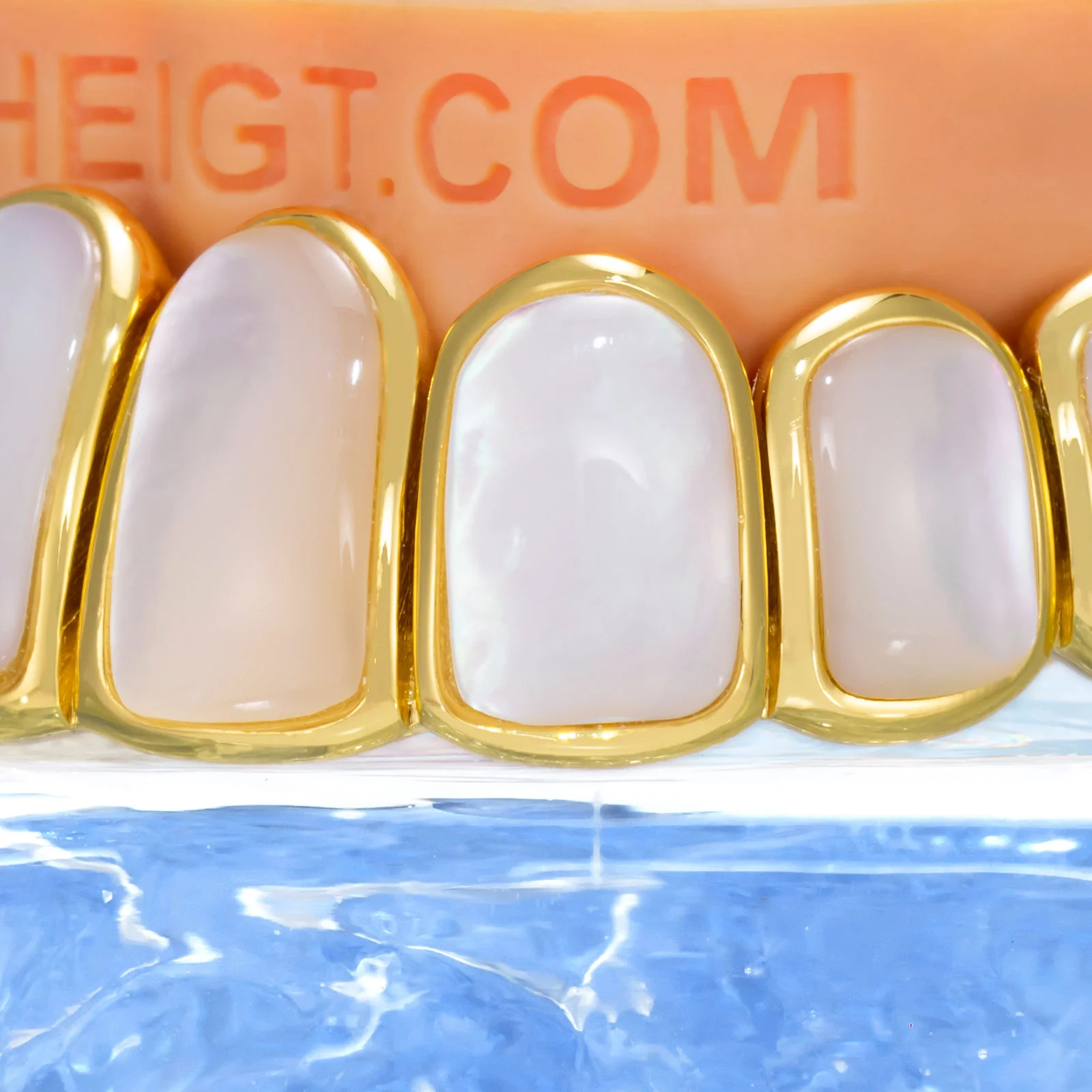 White Shell Grillz - Image 3